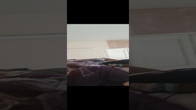 виды братьев смотреть онлайн