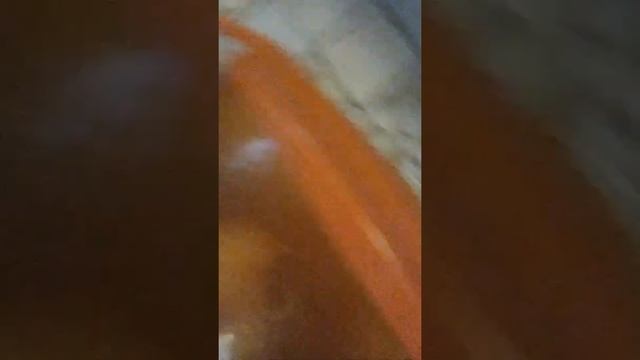 15 минут челендж снимаю обзор кухни