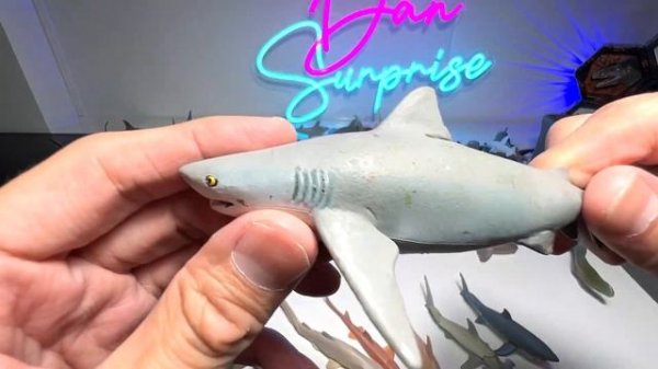 Sharks Collection, Goblin Shark, Thresher Shark, Lemon Shark, Sawfish, Megamouth Shark, Hammerhead