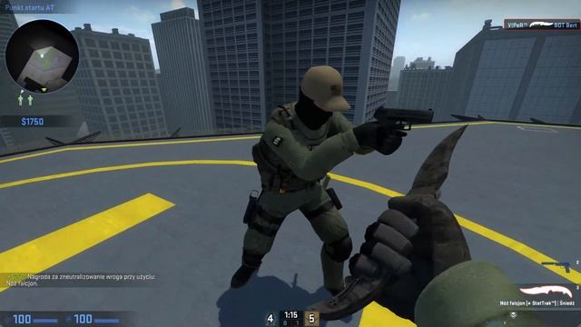 Falchion Knife   Stained Field-Tested  StatTrak