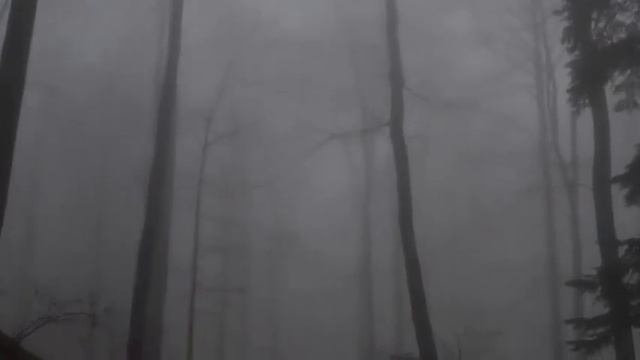 Secret Garden - Sleepsong (Türkçe Çeviri)