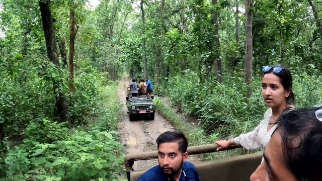 Tiger/Leopard/Rhino sighted, Jungle Safari in Bardia National Park, Ep-3, The Den Adventures смотреть онлайн