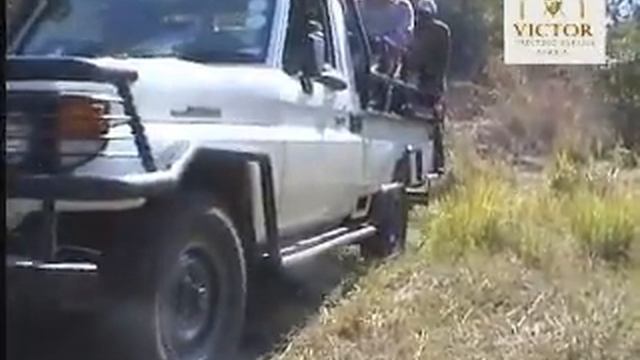 Victor Hunting Safaris Africa смотреть онлайн