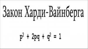 Задание 27. Разбор задачи на закон Харди-Вайнберга