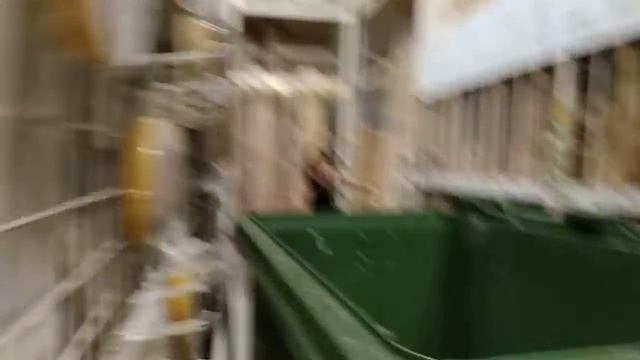 Пол это лава+ прятки в Леруа Мерлен!!/Сестрички Stars