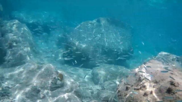 Akaso Brave 4 Underwater Videography