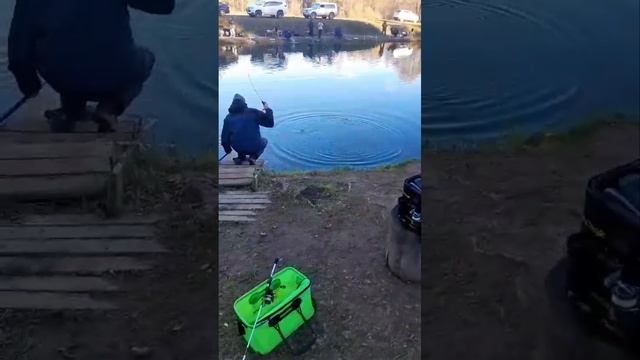 поимки смотреть онлайн