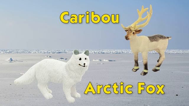 Safari LTD Arctic Toob смотреть онлайн