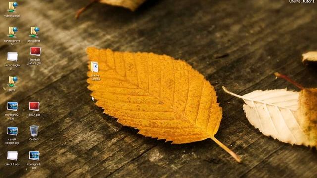 down load file da qube os смотреть онлайн
