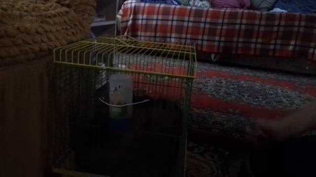 Открывать самому дверь смотреть онлайн