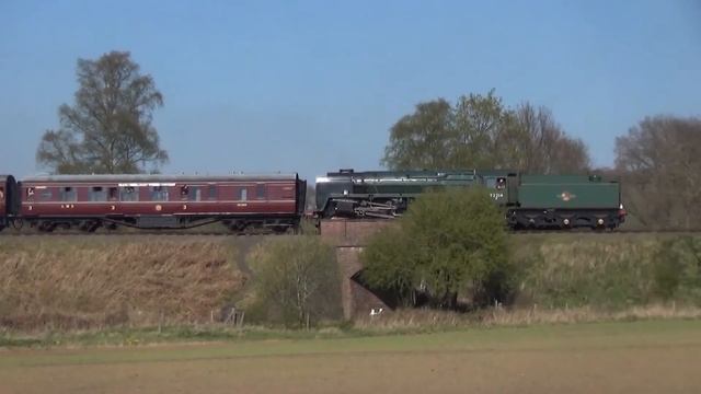 92214 "Safari Park curve", 08/04/17 смотреть онлайн