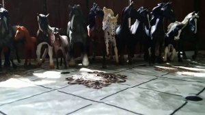 Лошади коллекта/Collecta horses (2 часть)