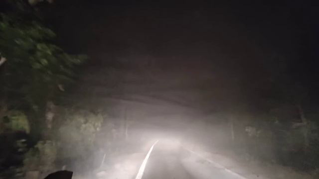 Jim Corbett National Park Night Drive । Drive In Dense Forests Of Jim Corbett Tiger Reserve смотреть онлайн