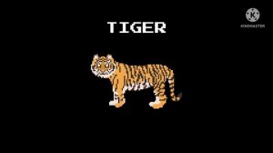 Animal Kingdom Safari Animals - The Kids' Picture Show