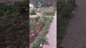 Крым. Алушта. Санаторий "Славутич" 3 корпус