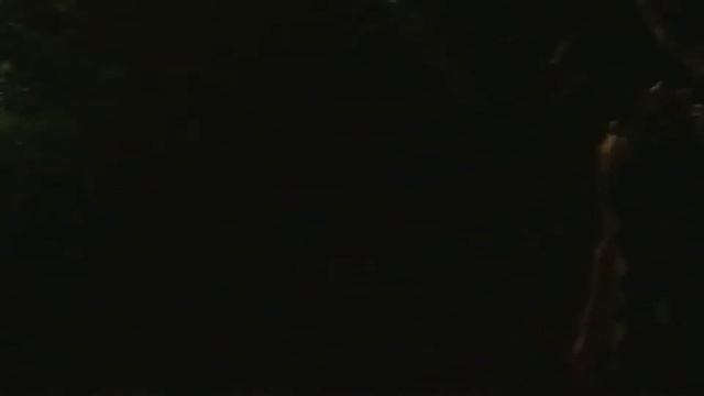 #SingaporeNightSafari #SingaporeZoo A UNIQUE EXPERIENCED IN SINGAPORE NIGHT SAFARI -DELIA D.C смотреть онлайн