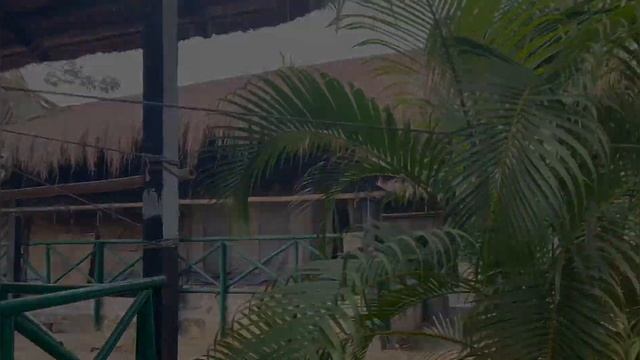 ZIZINIA OTIS RESORT | Pobitora| Resorts in Assam| смотреть онлайн