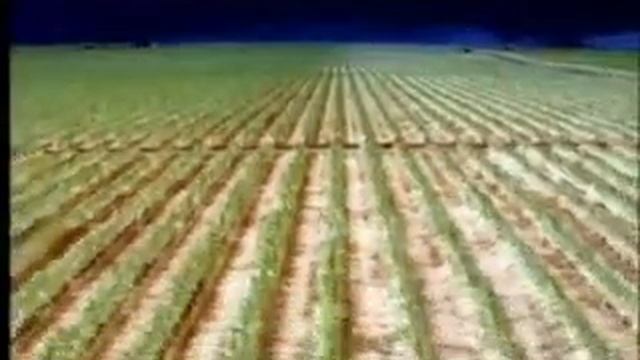Video Ambientalista