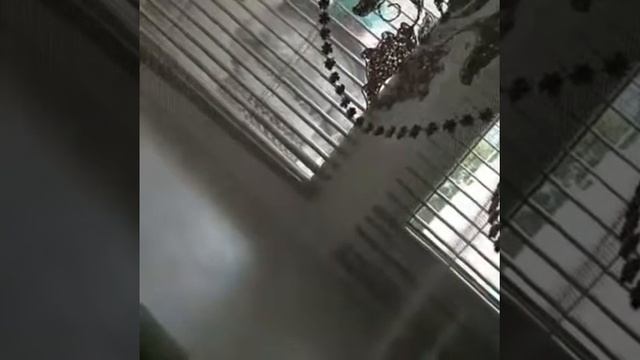 Осторожно воры, заходят смотреть онлайн