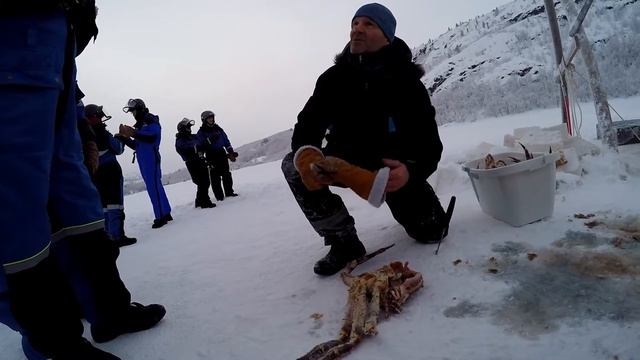 Day 6 - King Crab Safari, eat all you can смотреть онлайн
