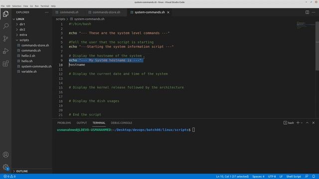 Linux Bash Scripting from Zero to Hero | #linux #bashscripting #bash смотреть онлайн