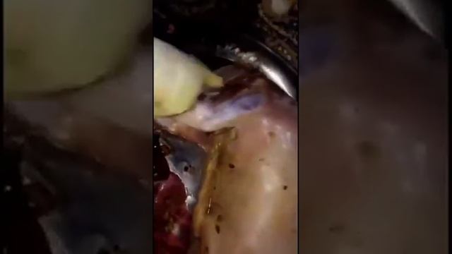 Восточная кухня смотреть онлайн