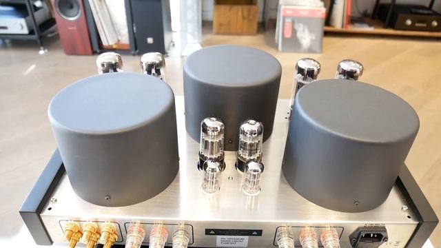 Consonance M100 Plus Special Edition смотреть онлайн