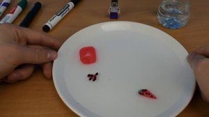 НУБ ИЗ МАЙНКРАФТ ОЖИВИЛ ТАРАКАНОВ ! Как сделать рисунок маркером прямо на воде у себя дома !