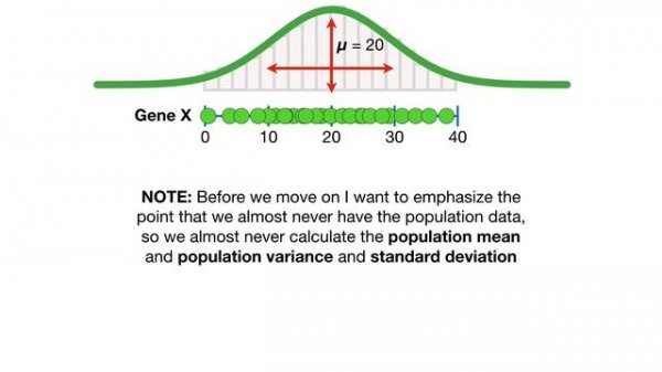 Calculating the Mean, Variance and Standard Deviation, Clearly Explained!!!