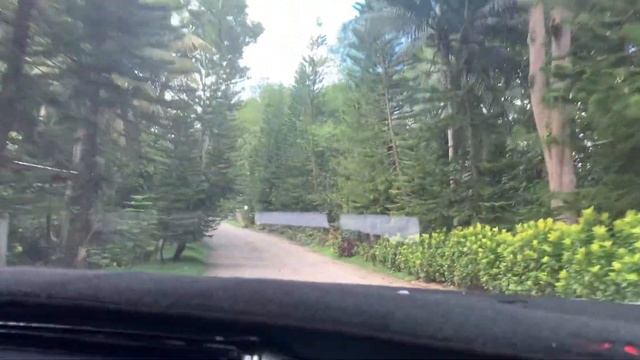 Cebu Safari Adventure Park смотреть онлайн