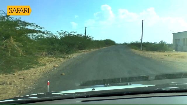 Sancharam | By Santhosh George Kulangara | Gujarat-10 | Safari TV смотреть онлайн