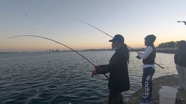 Klicker Reel Ryobi❗️Mancing Di Tarik Ikan Pari Pake Joran Baru - mancing fishing смотреть онлайн