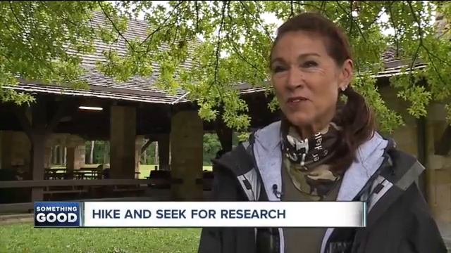 Hike and Seek for Research, dozens brave the wet weather to help children смотреть онлайн