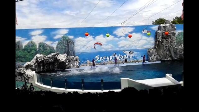 DOLFIN SHOW AT SAFARI PARK BANGKOK THAILAND WITH SAMIN YASAR ARIF - SAIMON & HAMIDA FAMILY смотреть онлайн