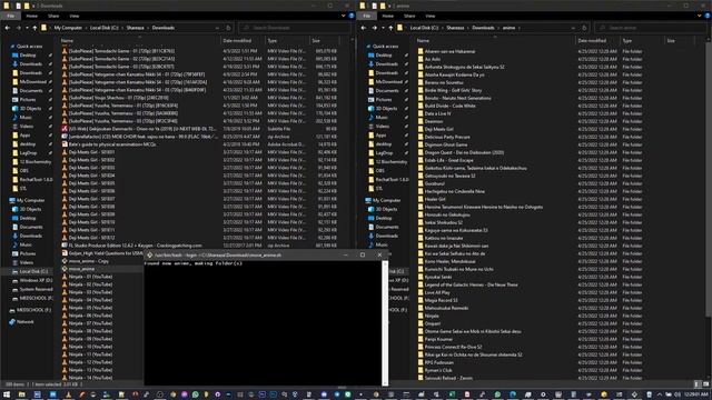Anime Sorting BASH Script in Action смотреть онлайн