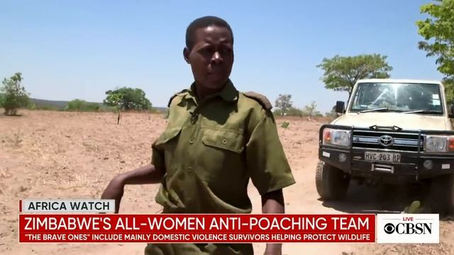 The Brave Ones: The women protecting Zimbabwe's wildlife смотреть онлайн
