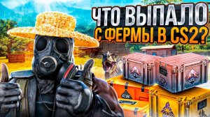 НЕДЕЛЬНЫЙ ДРОП ФЕРМЫ CS2 #5 | СТАТИСТИКА ФАРМА КЕЙСОВ КС |  СКОЛЬКО МОЖНО ЗАРАБОТАТЬ НА ПРАЙМЕ STEAM