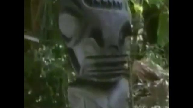 Sesame Street - Safari Letter Y смотреть онлайн