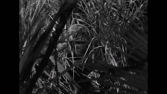 Preview Clip: Home of the Brave (1949, starring James Edwards) смотреть онлайн