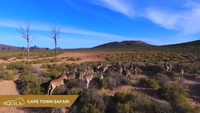 Aquila Private Game Reserve смотреть онлайн