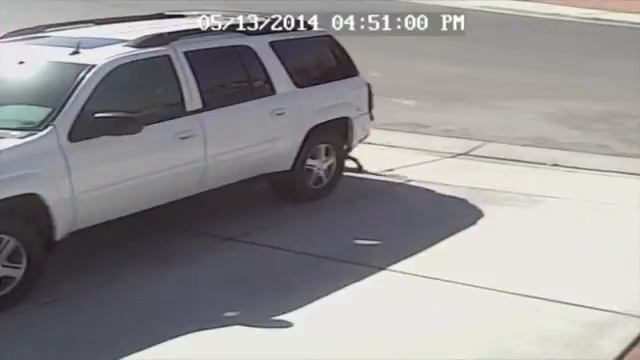 Brave cat ( Храбрый кот ) смотреть онлайн