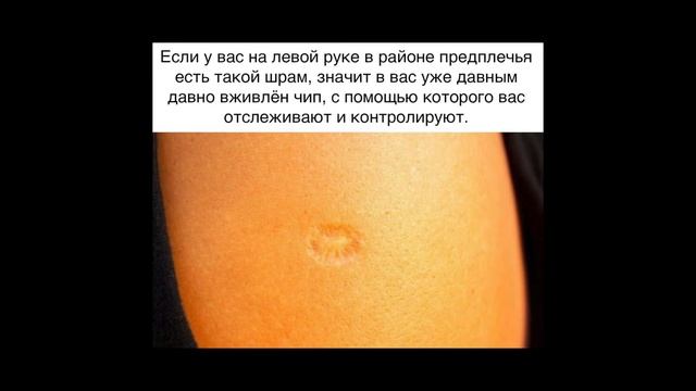 Коронные мемы. Кухня-студия это смарт-конура