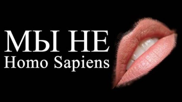 Чужаки изнутри ALI. 25 окт. 2024 г.