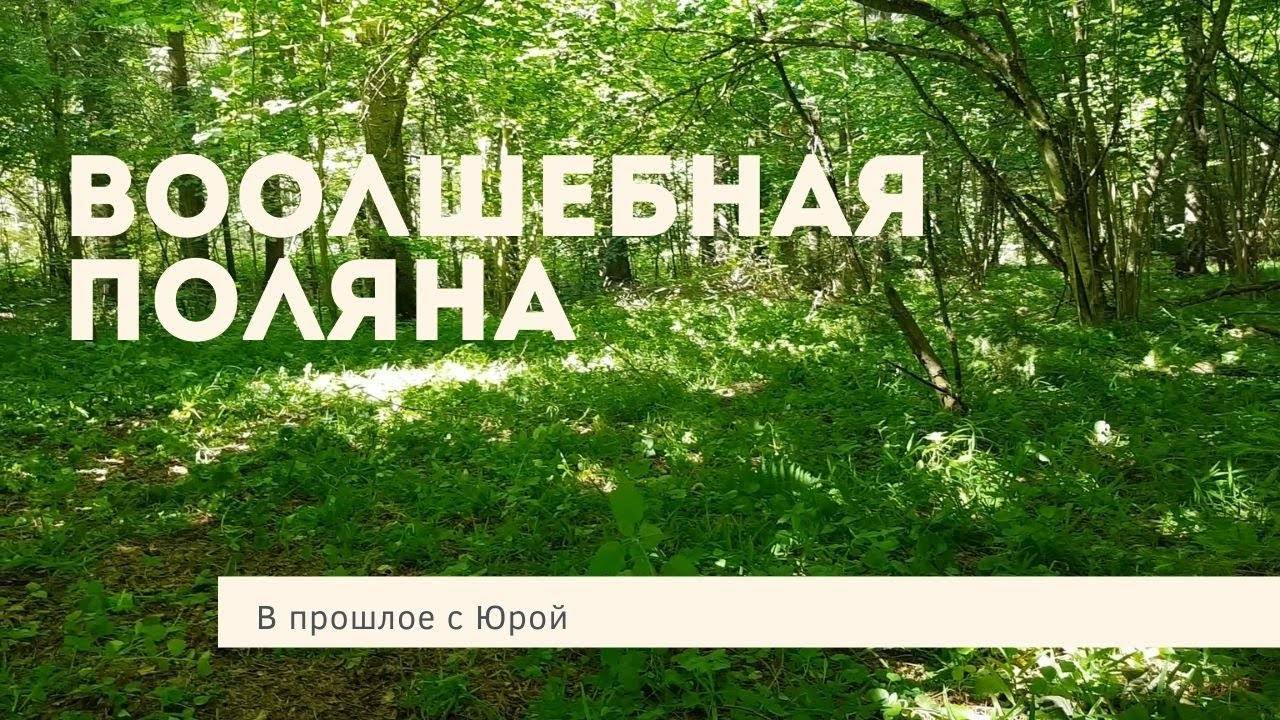 Откуда столько монет. Коп недалеко в лесу. #Поисксмд #Клад #ПоискМонет смотреть онлайн