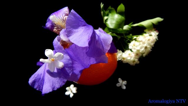 Лечебная музыка Михаила Глинки 🌿 Гармония и Равновесие. смотреть онлайн