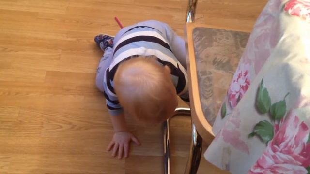ЧИСТОТА ДОЛЖНА БЫТЬ НА КУХНЕ! - Детский Канал Хвостантин ТВ смотреть онлайн