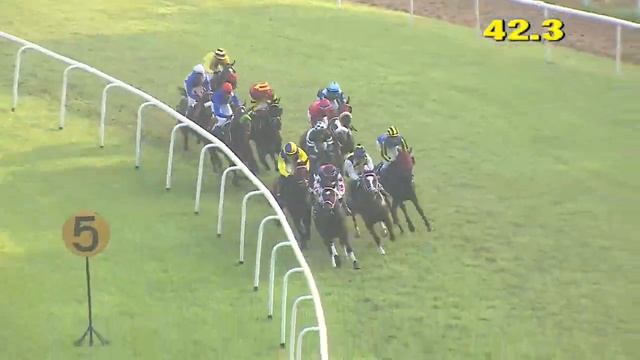 RHIANNON wins The Super Brave Handicap смотреть онлайн