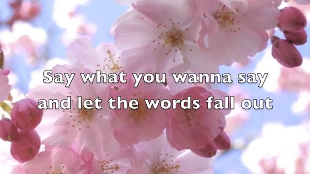Sara Bareilles BRAVE lyrics смотреть онлайн