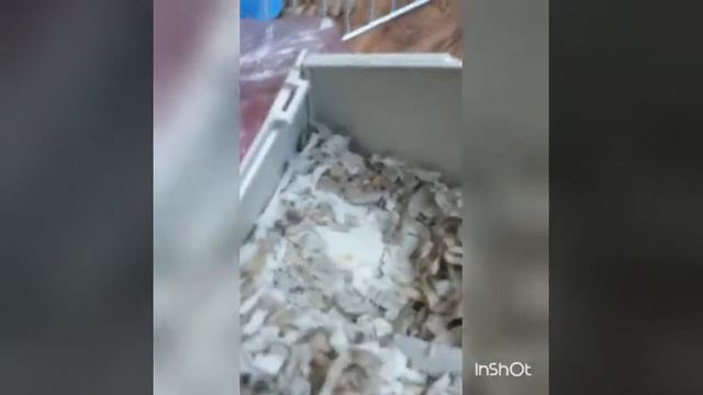 Уборка клетки моего хомяка! смотреть онлайн