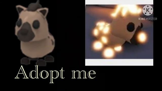 Adopt me VS Reality | Part 1 | Safari egg!! смотреть онлайн